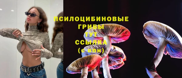 гидропоника Белокуриха